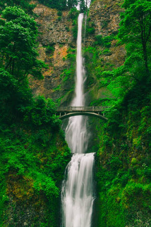 Hd Waterfall Benson Bridge And Multnomah Falls Wallpaper