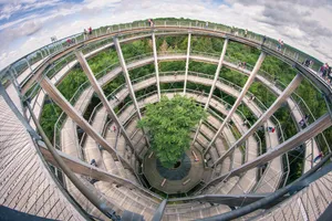Helical Forest Tower Wide Wallpaper