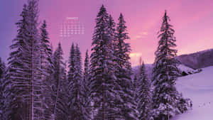 Hello January - A New Year Full Of Possibilities Wallpaper