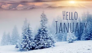 Hello January Sunlight Wallpaper