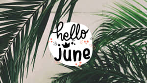 Hello June On A Background Of Palm Leaves Wallpaper