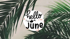 Hello June On A Background Of Palm Leaves Wallpaper