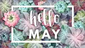 Hello May Succulent Landscape Wallpaper
