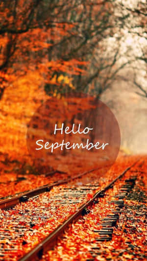 Hello September Greeting In Transparent Circle Wallpaper