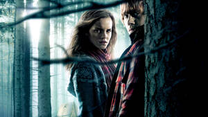 Hermione Granger And Ron Wallpaper