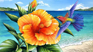 Hibiscus With Hummingbird Wallpaper