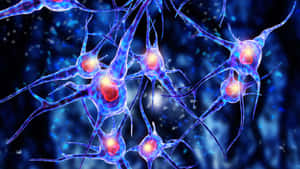 Hidden Red Stones Wallpaper