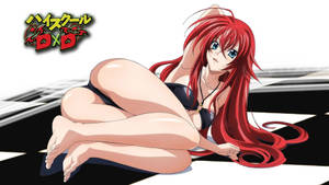 Highschool Dxd Bikini Rias Wallpaper