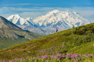 Hiker Before Majestic Mountain Peak Wallpaper