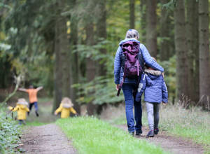 Hikers In Nordic Forest Wallpaper