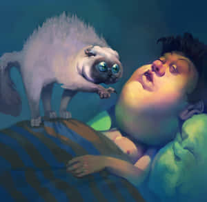 Hilarious Cat Poking Sleeping Human Wallpaper