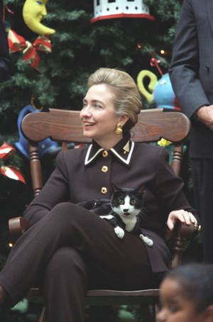 Hillary Clinton Enjoying Time With Her Cat Wallpaper