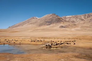 Hills And Desert In Tajikistan Wallpaper