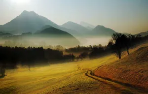 Hills, Mountains, Road, Country, Morning, Fog, Relief Wallpaper