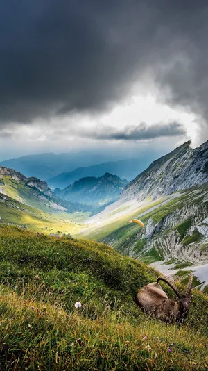 Hills Nature 4k Iphone Wallpaper