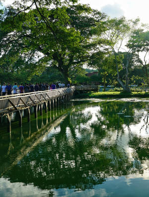 Hlawga Park Yangon City Wallpaper