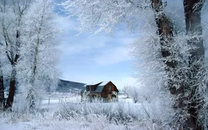 Hoarfrost Wooden House Wallpaper