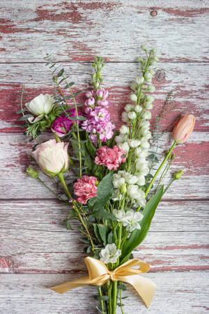 Hoary Stock Roses And Carnations Flower Bouquet Wallpaper