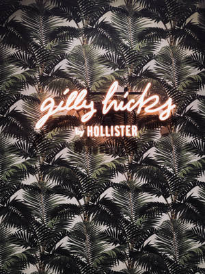 Hollister Palm Tree Leaves Wallpaper