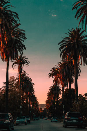 Hollywood Los Angeles Aesthetic Wallpaper
