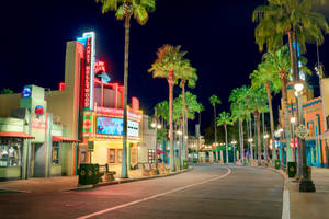 Hollywood Street Royal Palms Wallpaper