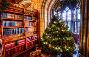 Home Library Christmas Tree Wallpaper