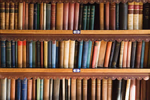 Home Library Wooden Shelves Wallpaper
