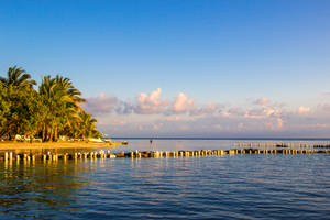 Honduras Calm Sea Wallpaper