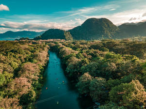 Honduras Green Mountains And Forest Wallpaper