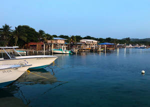 Honduras Harbor And Blue Sea Wallpaper