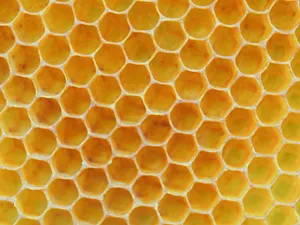Honeycomb Bright Yellow Wallpaper