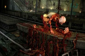 Horror Hd Wallpaper And Background Image Wallpaper