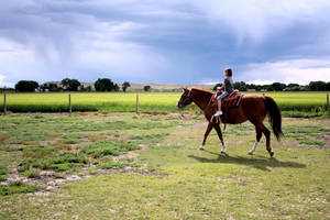 Horse Riding In Flower Garden Summer Wallpaper