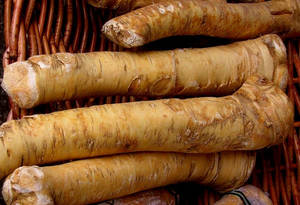 Horseradish In Brown Basket Wallpaper