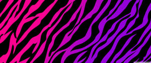 Hot Pink Purple Zebra Pattern Wallpaper