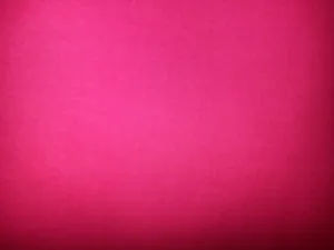 Hot Pink Vignette Wallpaper