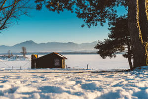 House Beside Sea Of Slovakia Wallpaper