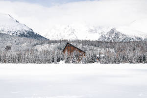 House In Slovakia Grassland Wallpaper