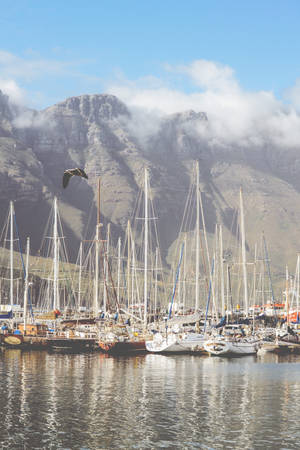 Hout Bay Cape Town Wallpaper