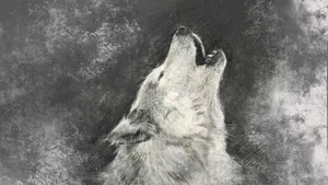 Howling Wolf Charcoal Illustration Wallpaper