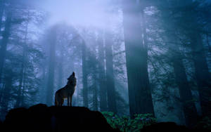 Howling Wolf In Forest Wallpaper