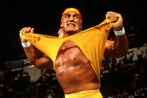 Hulk Hogan Iconic Shirt Reaping Wallpaper