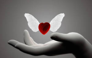 Humble Heart Wallpaper