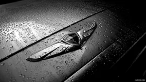 Hyundai Genesis Watered Logo Wallpaper