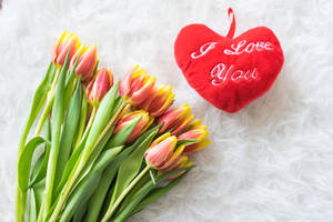 I Love You Aesthetic Tulips Wallpaper