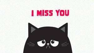 I Miss You Cat Wallpaper