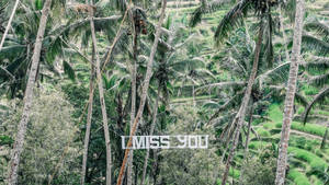 I Miss You Signage Wallpaper