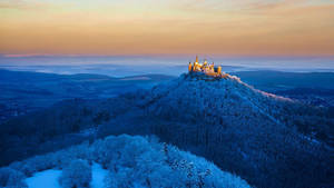 Ice Blue Forest Bing Wallpaper