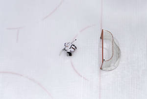 Ice Hockey Professional Goal Tender Wallpaper