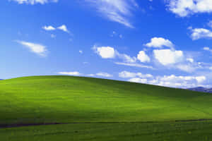 Iconic_ Grassy_ Hill_ Under_ Blue_ Sky Wallpaper